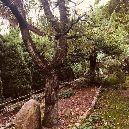 Farm stay Mala Wenecja - Goscinne *