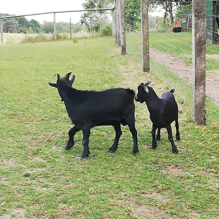 Farm stay Mala Wenecja - Goscinne